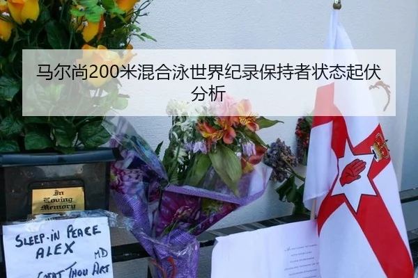 马尔尚200米混合泳世界纪录保持者状态起伏分析