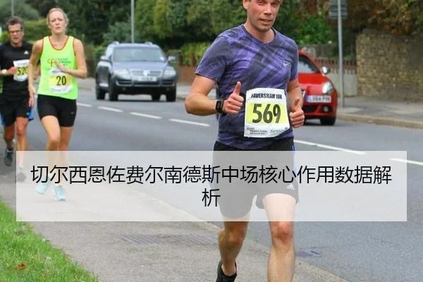 qie-er-xi-en-zuo-fei-er-nan-de-si-zhong-chang-he-xin-zuo-yong-shu-ju-jie-xi-2-588.jpg