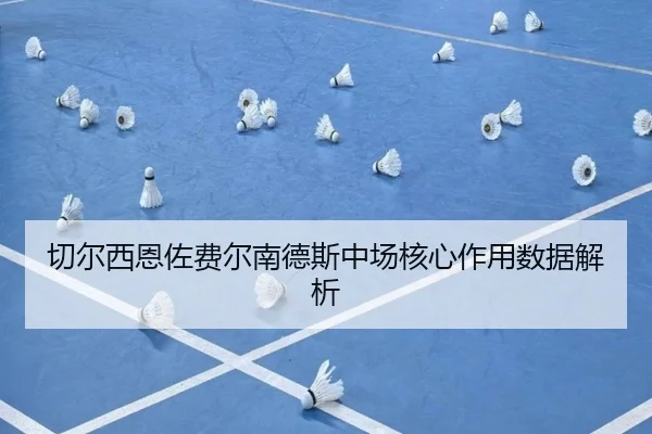 切尔西恩佐费尔南德斯中场核心作用数据解析