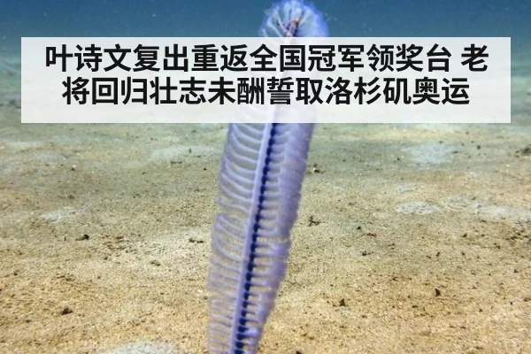 叶诗文复出重返全国冠军领奖台 老将回归壮志未酬誓取洛杉矶奥运